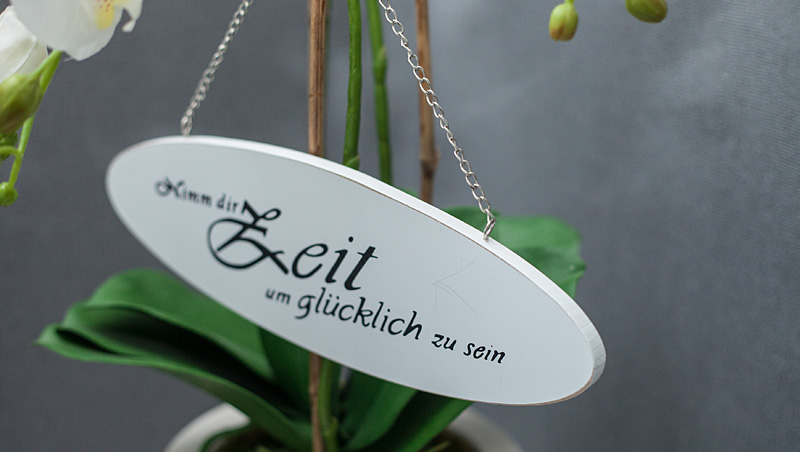 Hotel Pension Blankenburg im Harz